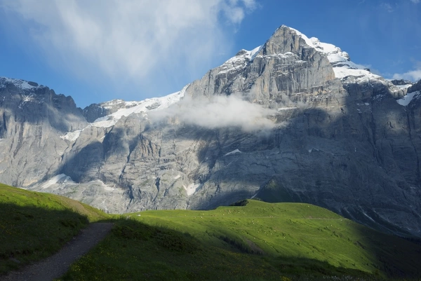 Mounted Print of Wetterhorn 3692m, Jungfrau-Aletsch