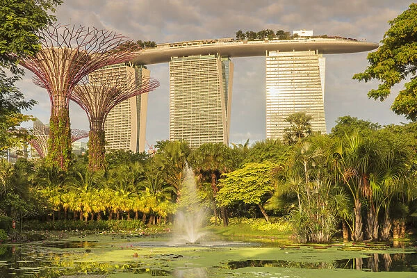 Prints of View from Gardens by the Bay to Marina Bay Sands Hotel Gardens by the Bay