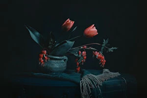 Still life Photo Mug Collection: Tulip & Bleeding Heart