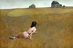 Andrew Wyeth Print: Christinas World, 1948